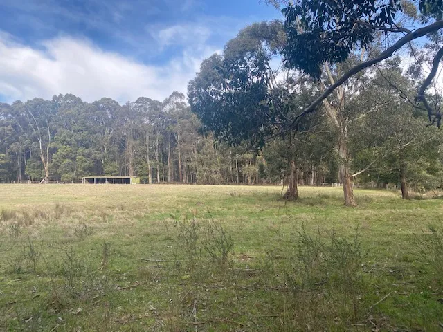 Build your dream home in Trentham