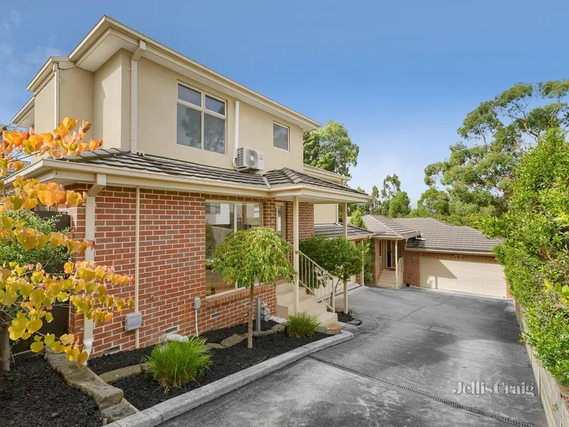 Contemporary convenience, sunlit style