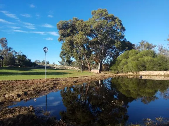 Investment/Retirement 3.2 hectares . R20, adjoins Hospital Precinct, nature park and Retirement complex., quiet, safe, sceneic, You wont buy better!  