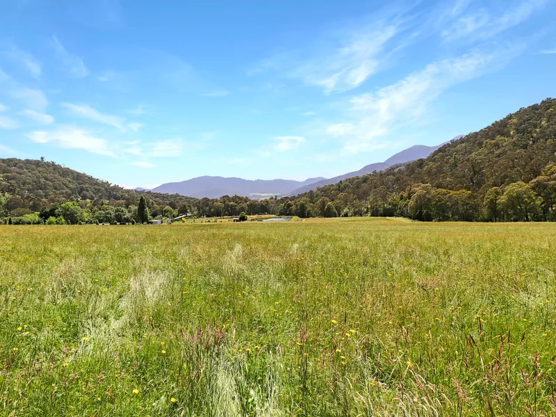 STUNNING LIFESTYLE ACREAGE