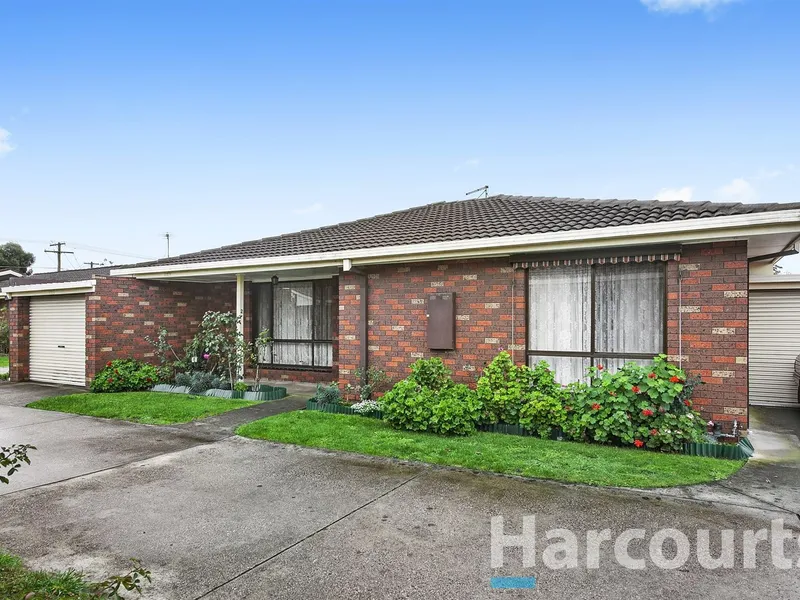 Investment Sensation!