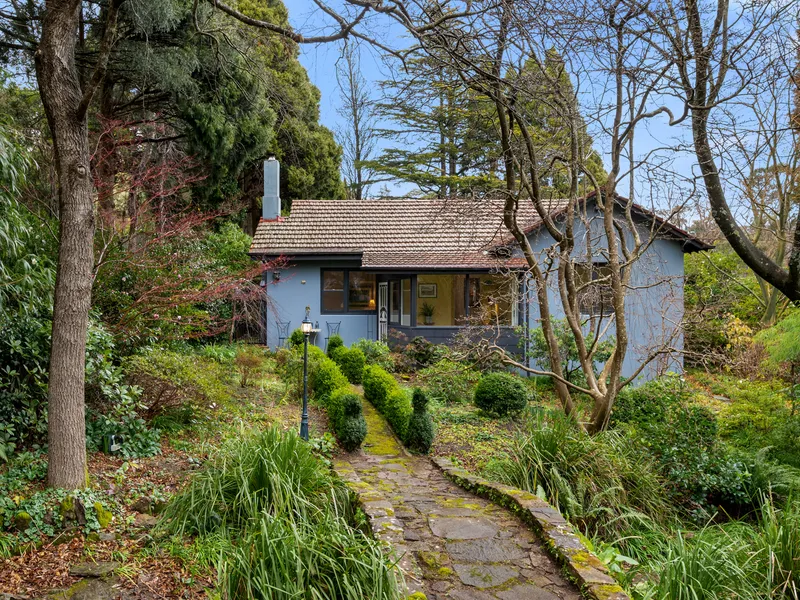 Secluded Mountain Cottage in Blue Ribbon Locale