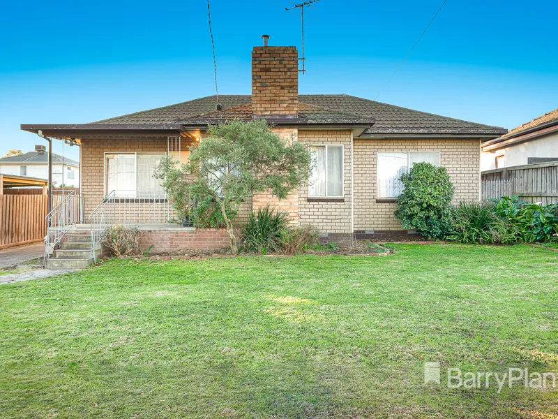 Exciting, Electric Options!