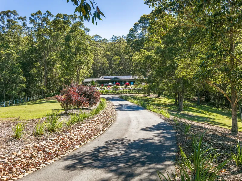 NOW THIS ONE SHOULD BE AT THE VERY TOP OF YOUR LIST......