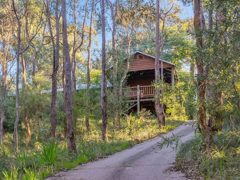 Nestling In The Treetops
