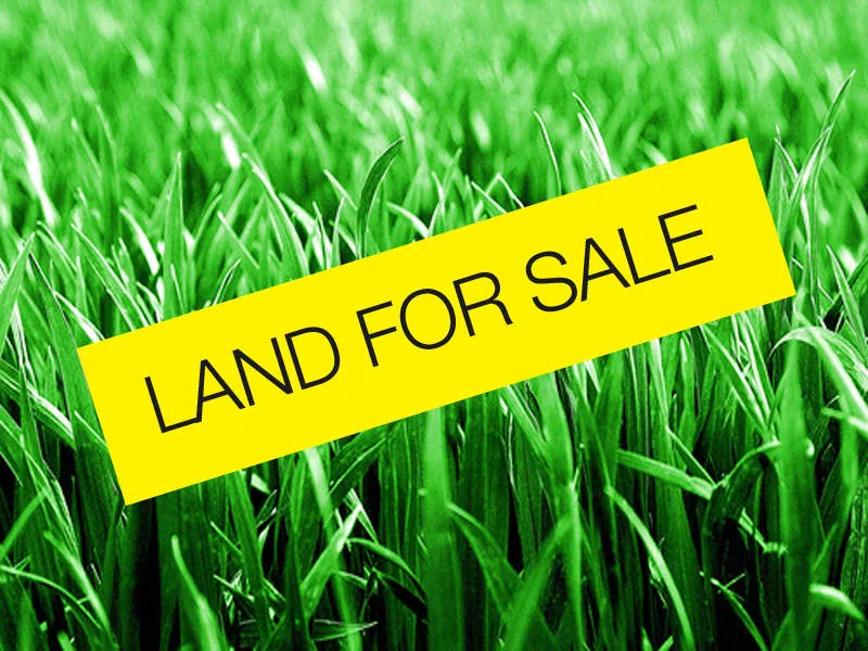 Fully fenced 1 acre lot