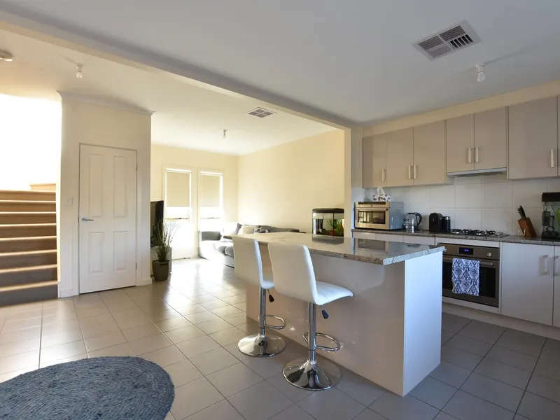 WATCH THE KANGAROOS ACROSS THE ROAD!