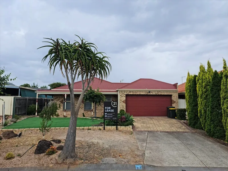 Perfect Home for the Family