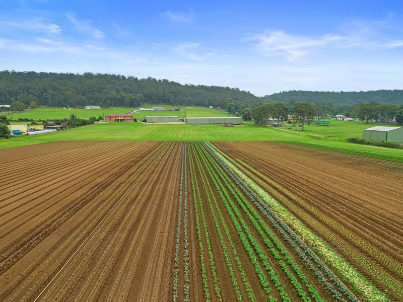 Agricultural Excellence on the Nepean River