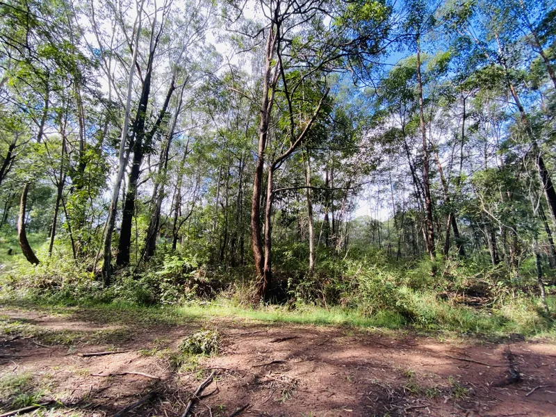 VACANT BUSH BLOCK!