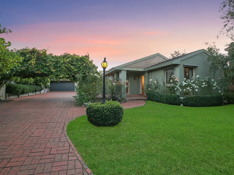 Timeless Grace and Supreme Elegance