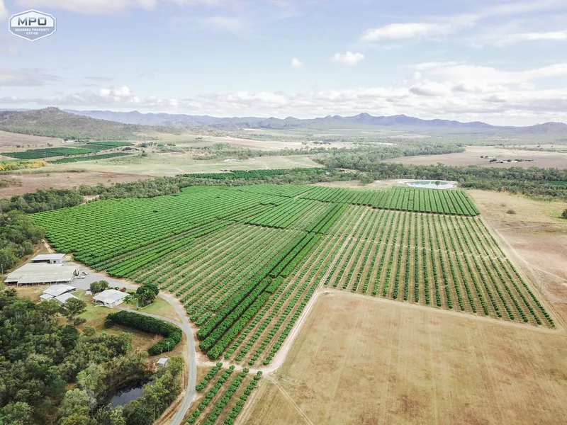 ESTABLISHED COMMERCIAL ORCHARD BUSINESS 