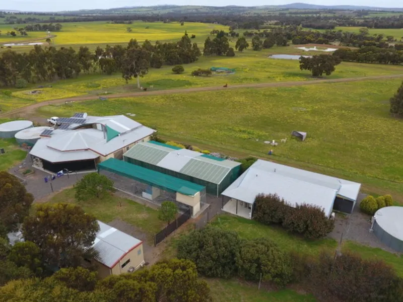 HUGE COUNTRY HOME WITH INCOME POTENTIAL