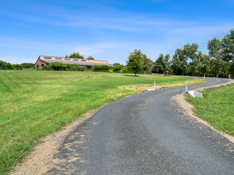 Often Sought, Rarely Found