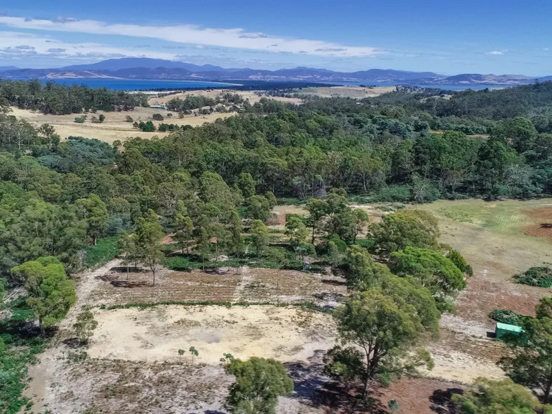 SCOPE TO BUILD