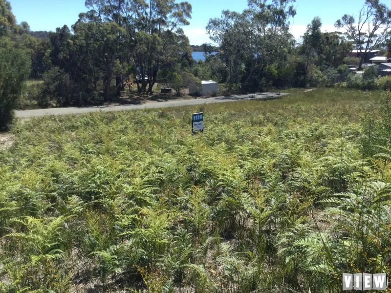 Bay of Fires Land Opportunity