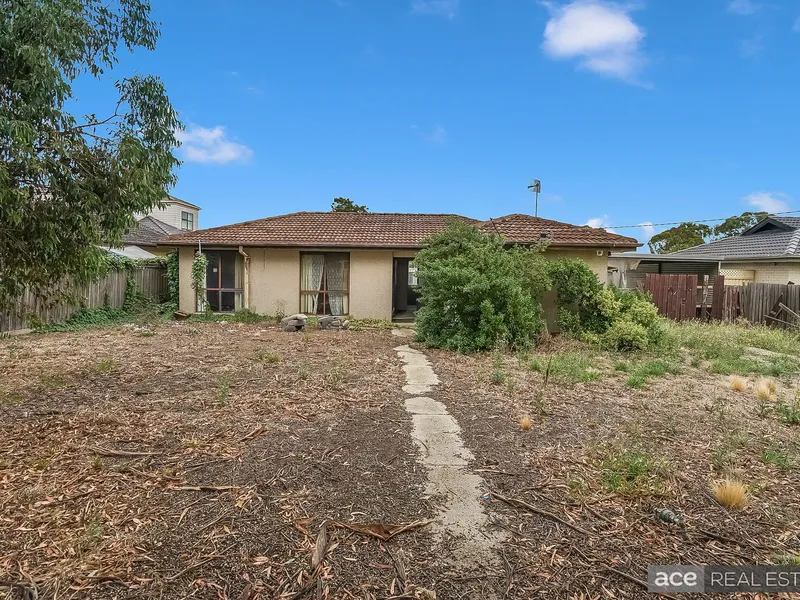 Calling All Builders and Developers – A delight not to miss