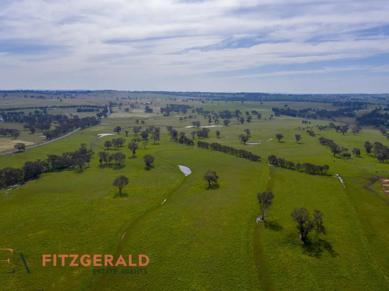 Norah Creek Aggregation, Molong 