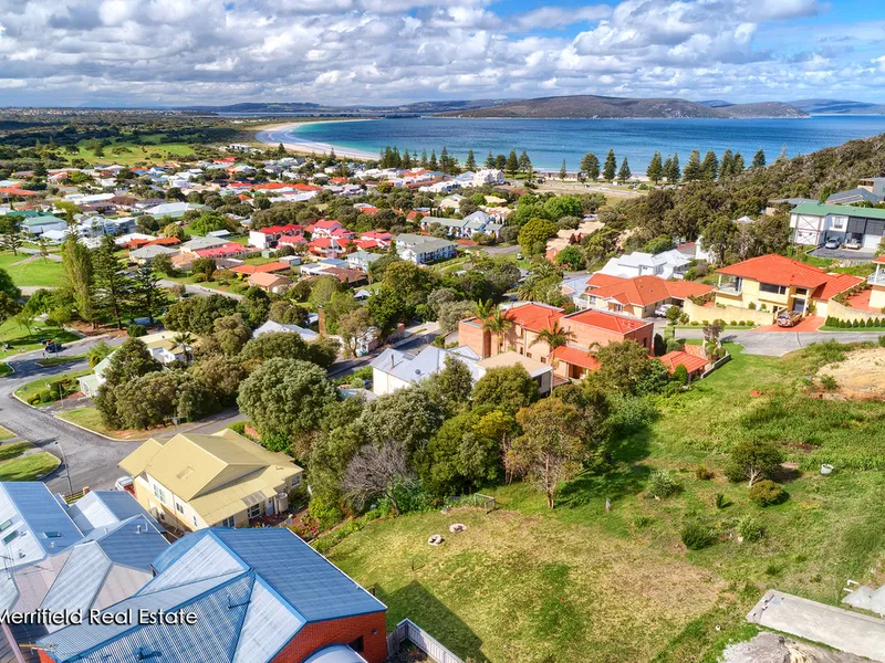 AMONG THE EAGLES NESTS