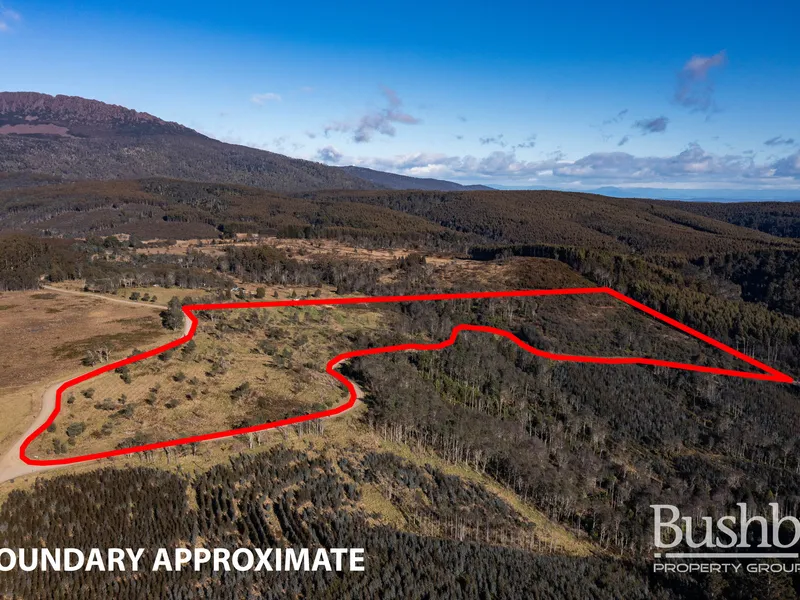 35 Acres By The Mountain, With Water…