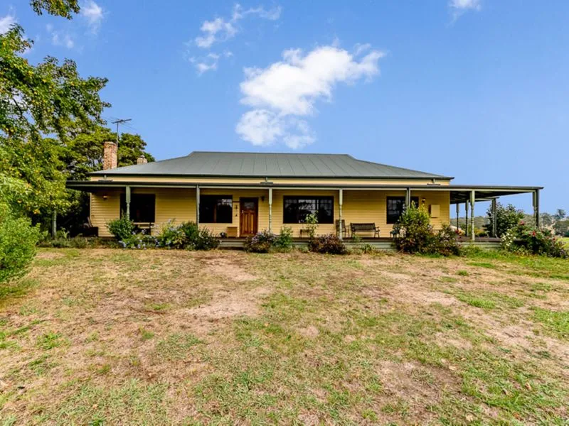 Paradise on the Tarago