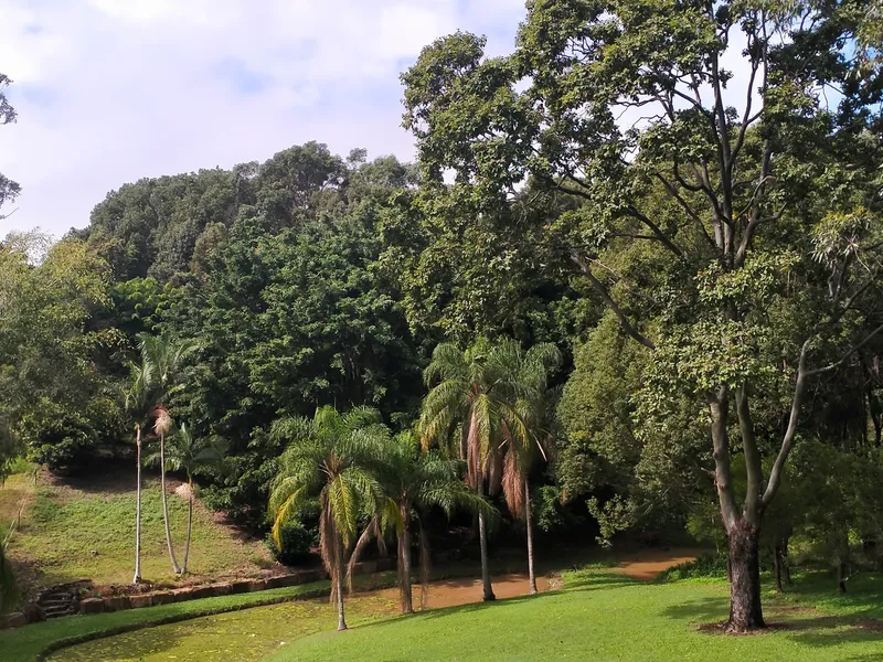 IMMACULATE BUSH RETREAT HOME 