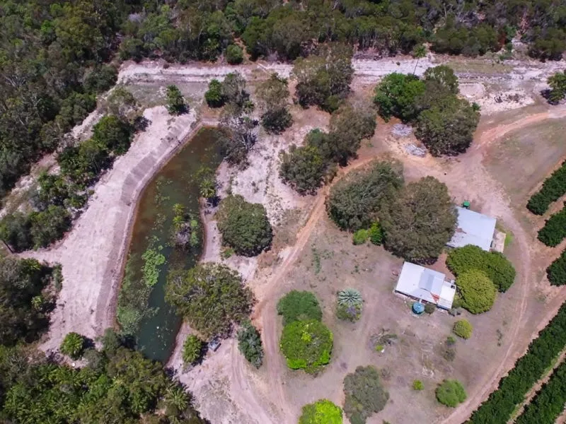 OCEANFRONT MACADAMIA FARM