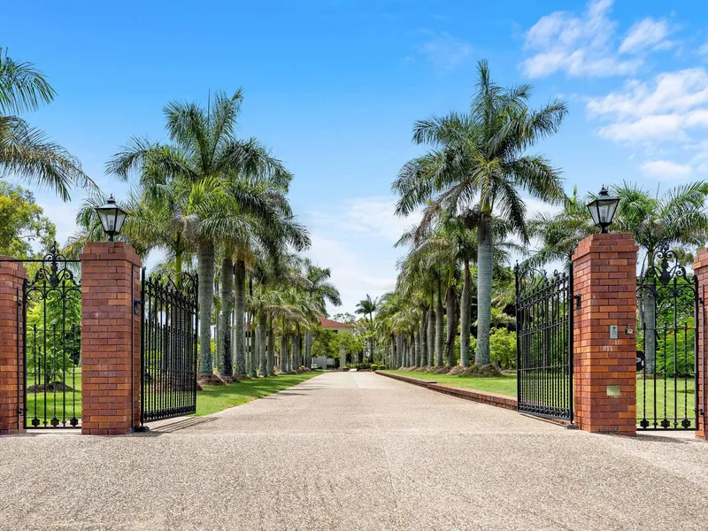 Classic Grandeur Atop Belmont's Finest Acreage Land