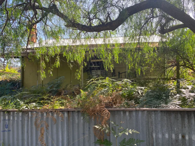 One For The Renovator