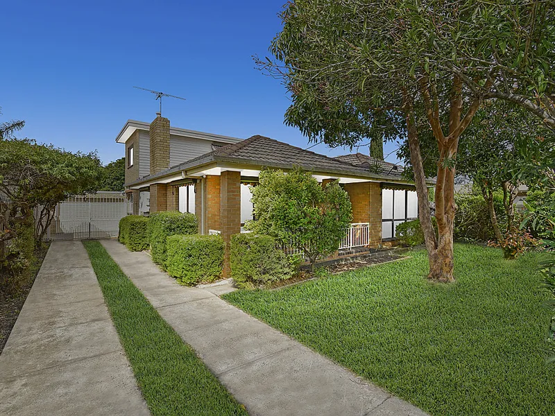 Options Aplenty In Premier Pocket