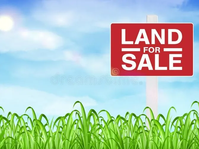 Dales Creek 6,128m2 Land. First time on sale since 2002!
