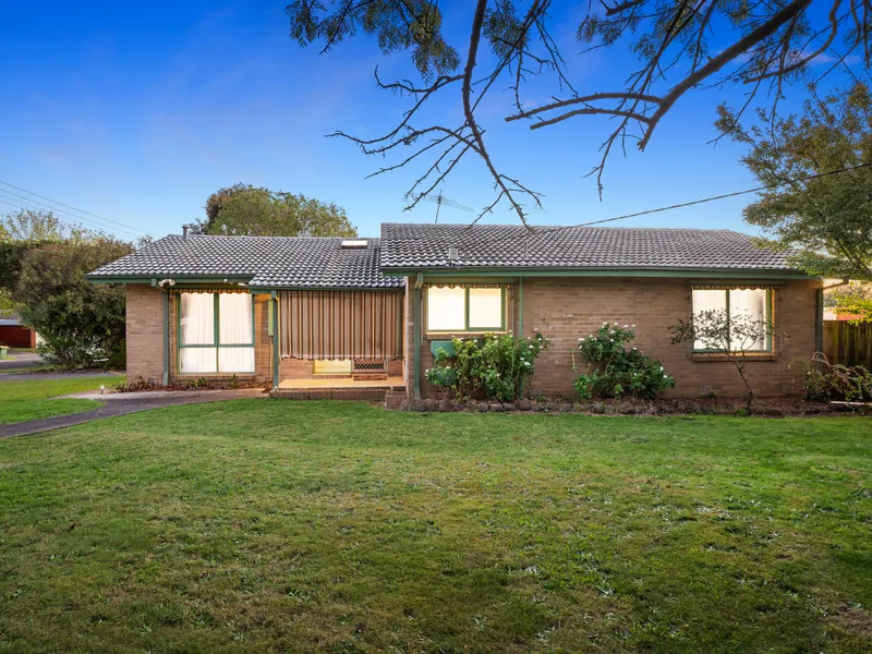 The Perfect Family Home