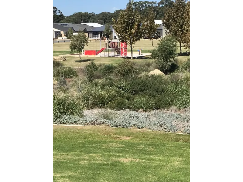 Beautiful home overlooking large park