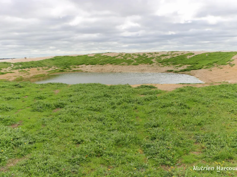 The Perfect Addition to Your Ravensthorpe Portfolio