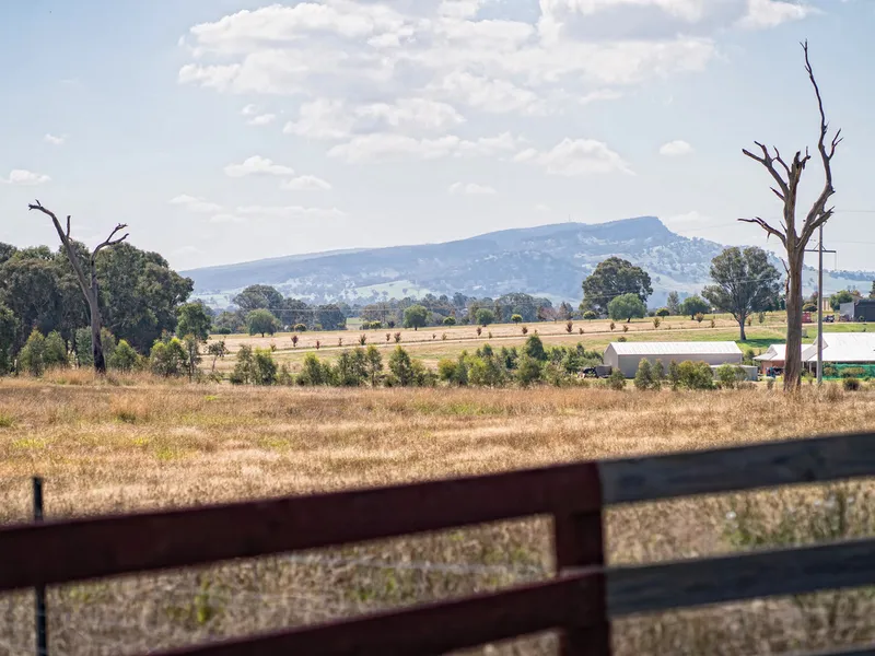 Table Top Development Opportunity