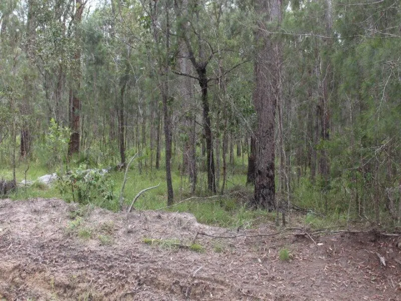 REDUCED - A BARGAIN!!!! LIFESTYLE TIMBER, CATTLE AND HOME SITE ON 706 ACRES.