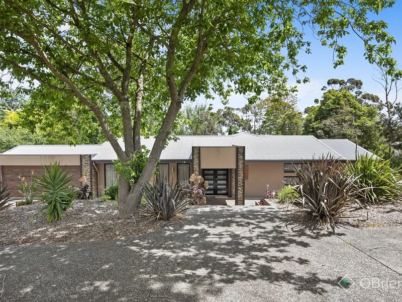 The Perfect Family Home