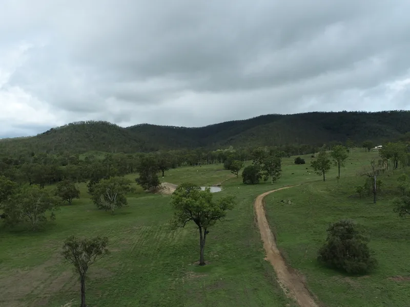 Well Developed Cattle and Lifestyle Property