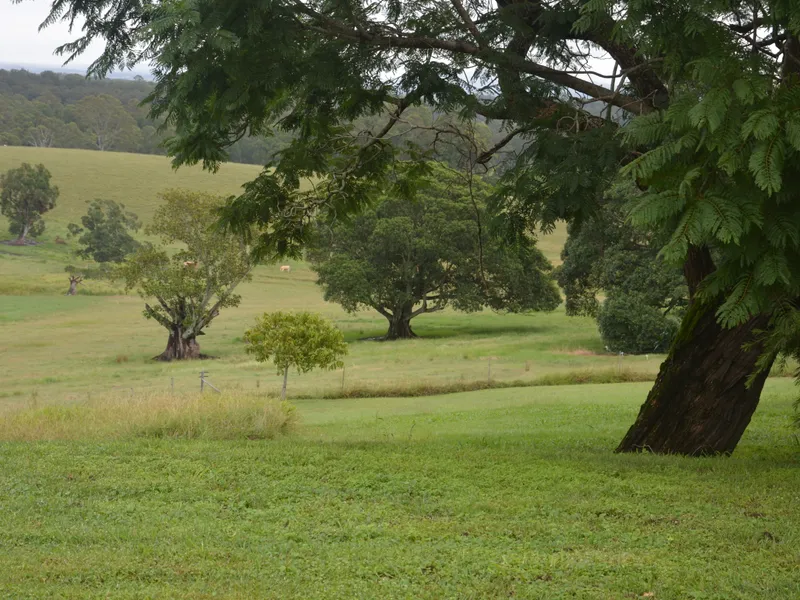 Picturesque Farm North Casino