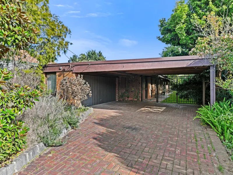 LIVE IN AND LOVE OR LOOK TO THE FUTURE