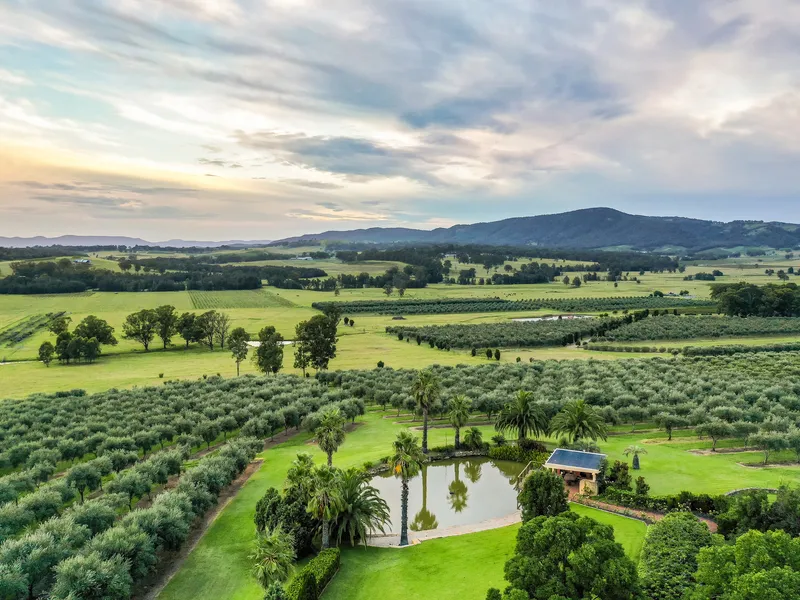 Olio Mio Boutique Olive, Wine & Luxury Country Estate 