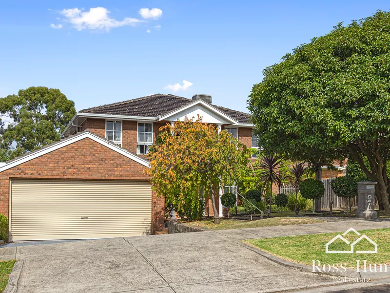 Looking for Large? This is it!