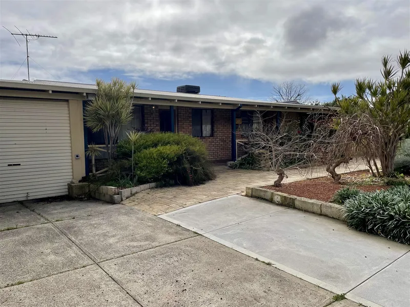 Family Treasure Trove...