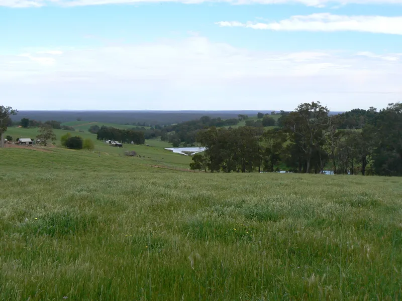 GREAT CATTLE COUNTRY!