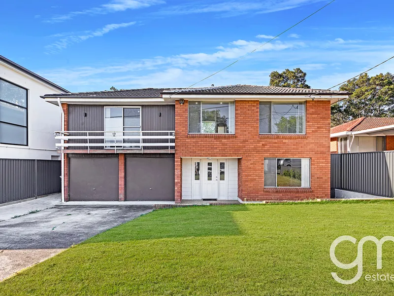 Family Home, Investor Special or Development Potential 