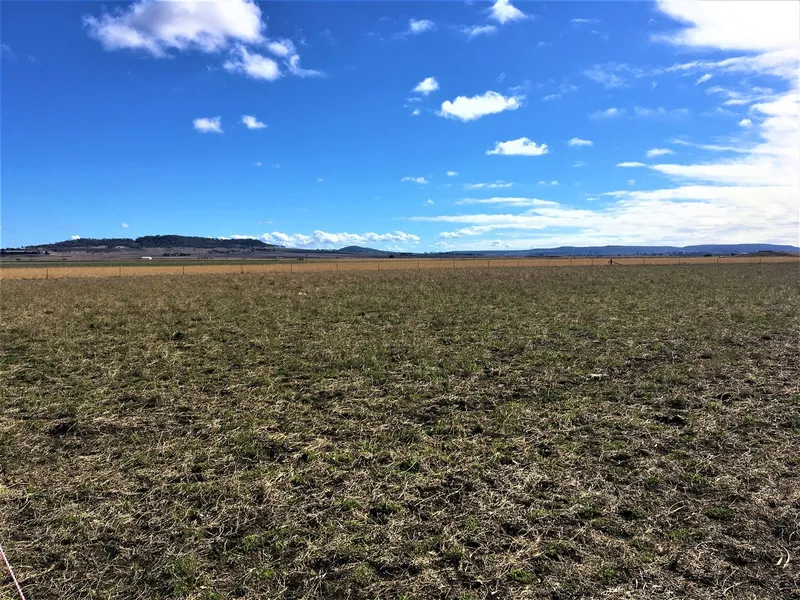 Purchase residential land as one, two or three lots