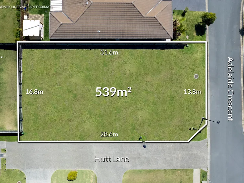 BUILD IT, BEFORE THEY DO