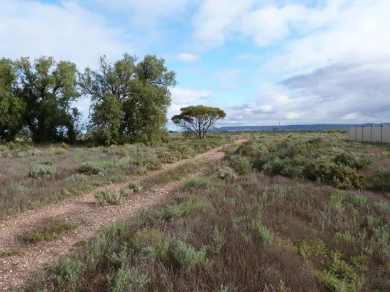 Land for Sale