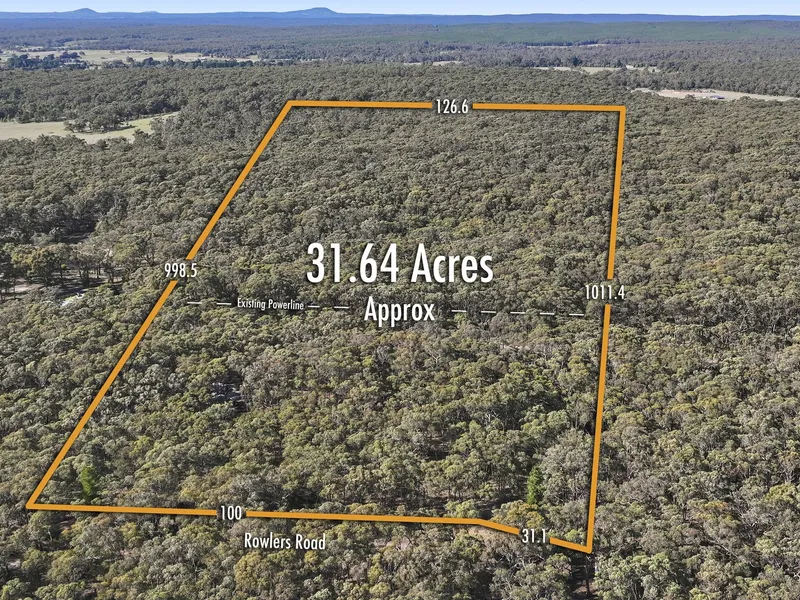 Finally - Your Bushland Getaway
