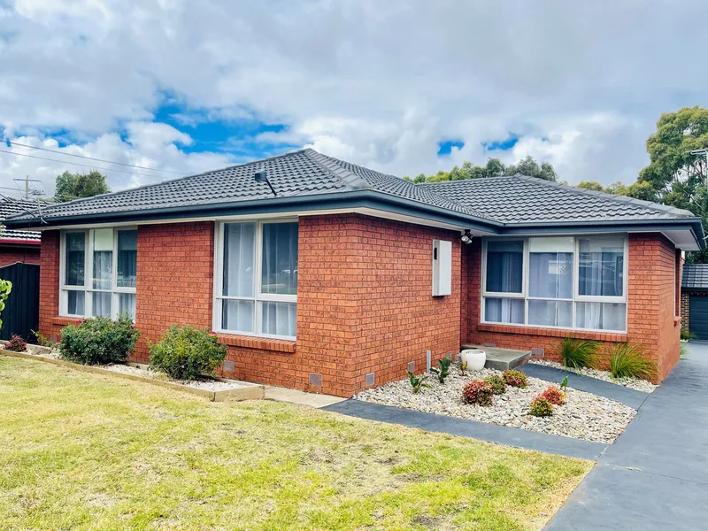 REJUVENATED & READY TO GO!